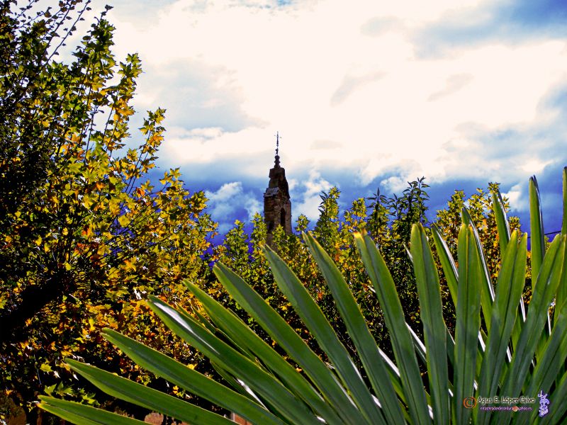 El campanario desde el Parque de San Juan.jpg